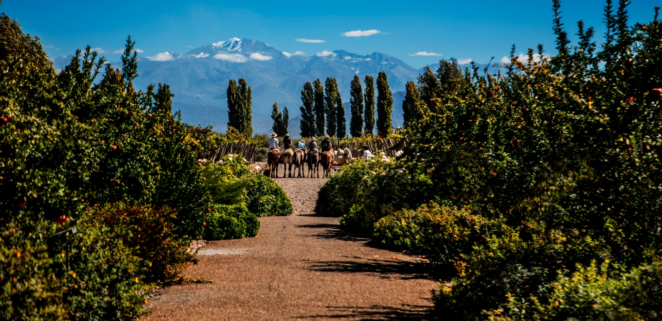 Cavas Wine Lodge - Lujan de Cuyo
