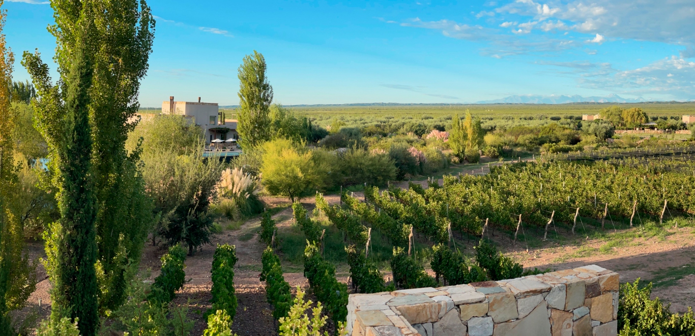Rosell Boher Lodge - Lujan de Cuyo - Mendoza